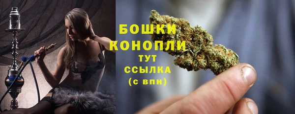 PSILOCYBIN Богородицк