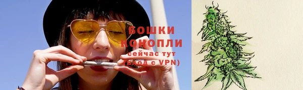 гидропоника Богданович