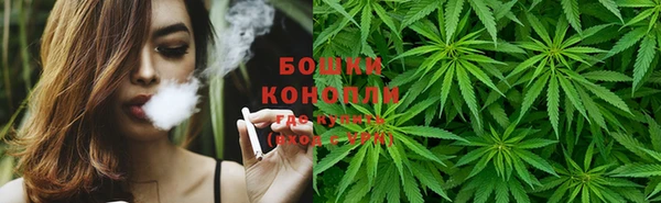 PSILOCYBIN Богородицк