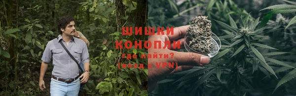 гидропоника Богданович