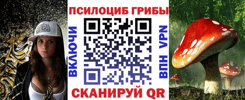 даркнет сайт  Называевск  Галлюциногенные грибы мицелий 